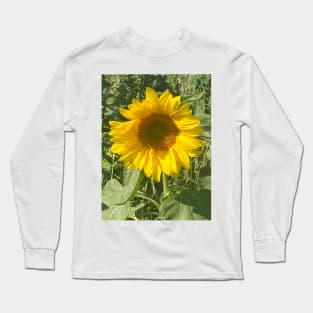 A Happy Sunflower Sunbathing and Soaking up the Summer Sun - Sunflower Alliteration! Long Sleeve T-Shirt